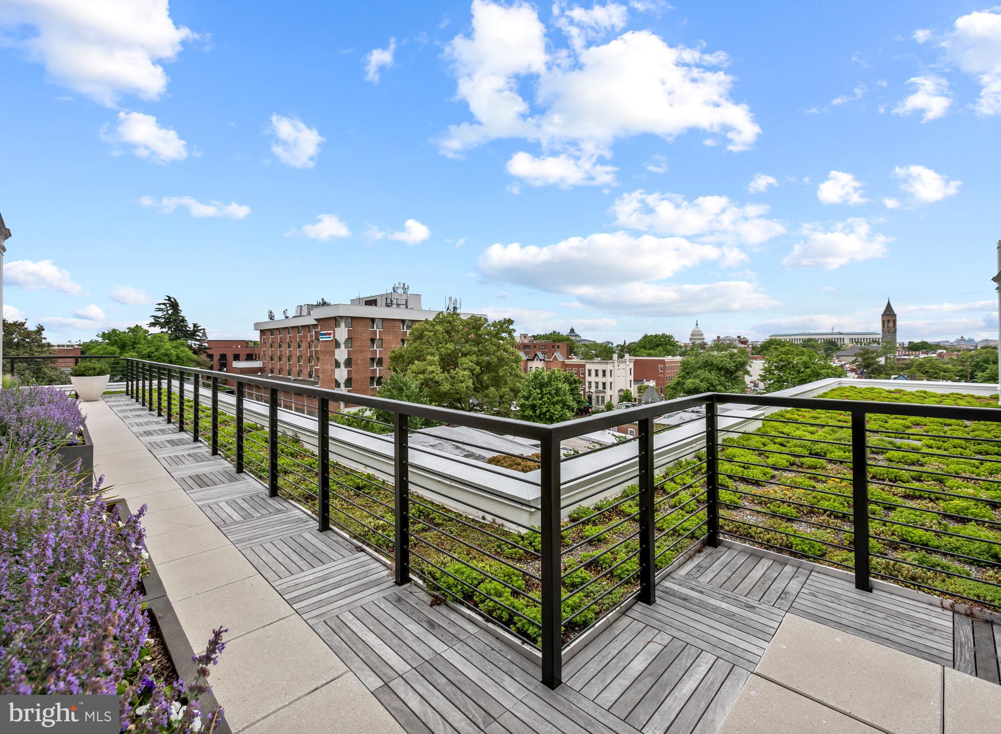 300 8th Street Northeast, Unit 209 Washington, DC 20002 - Photo 14 of 18 Communal rooftop