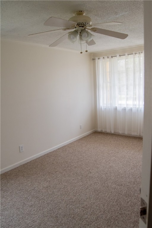 104 Charlton Circle Easley, SC 29642 - Photo 11 of 36