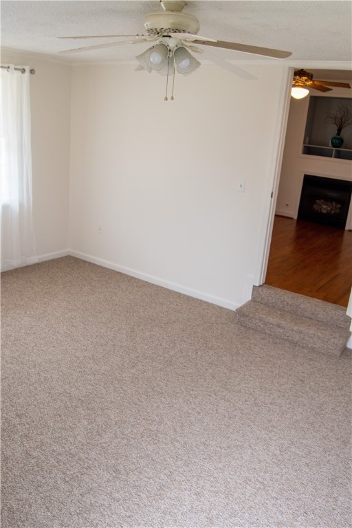 104 Charlton Circle Easley, SC 29642 - Photo 12 of 36