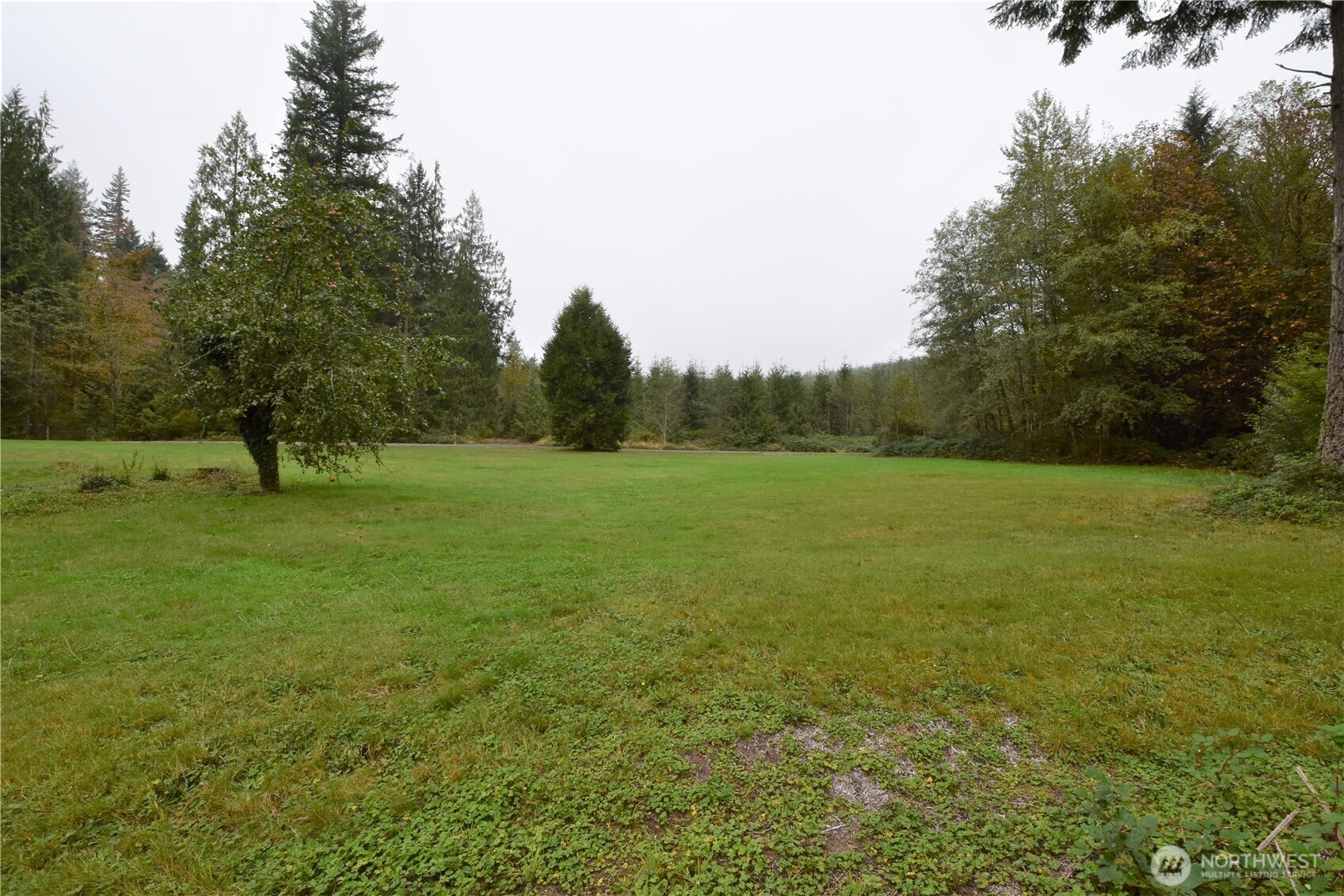 30331 Heimer Road Arlington, WA 98223 - Photo 16 of 37 a view of grassy field with trees