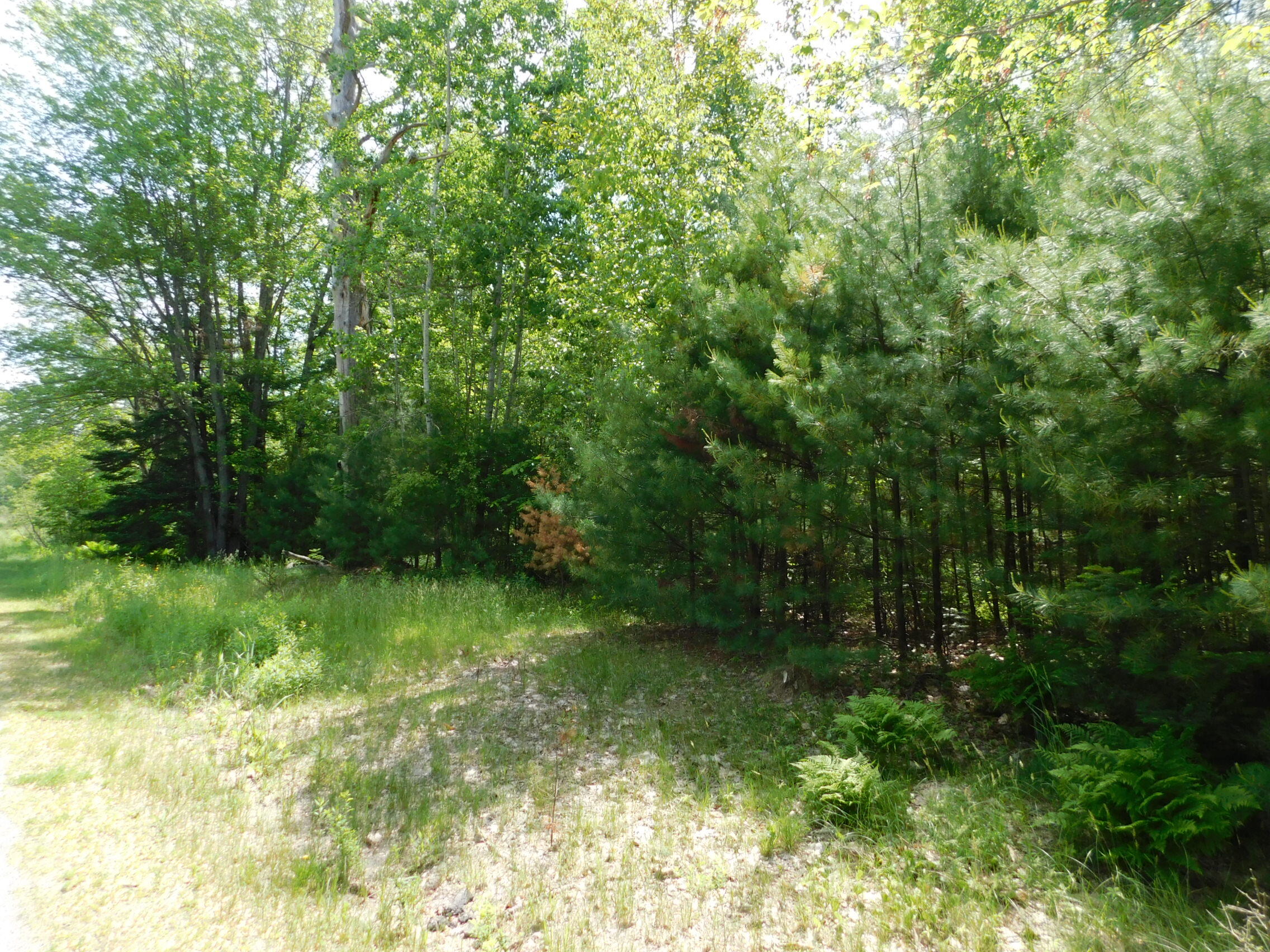 244 Canaan Road Hartland, ME 04943 - Photo 3 of 8