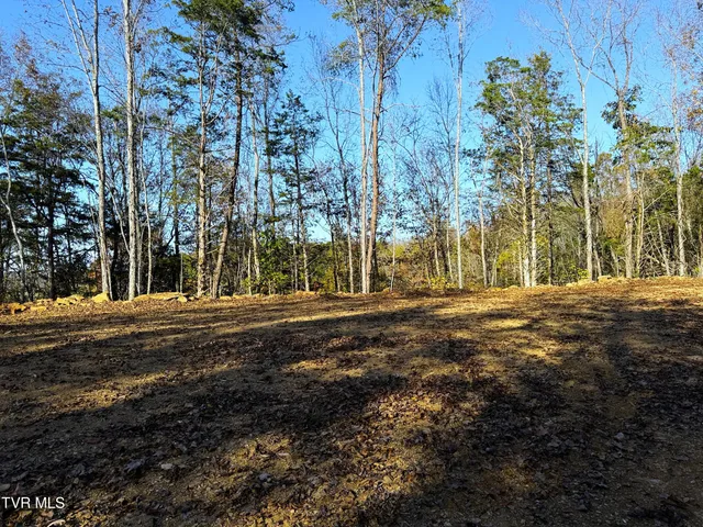 $88,500 | 4 Topaz Way, Unit 4, Parrottsville, TN 37843