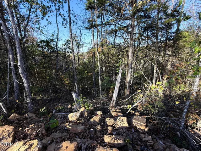 $88,500 | 4 Topaz Way, Unit 4, Parrottsville, TN 37843