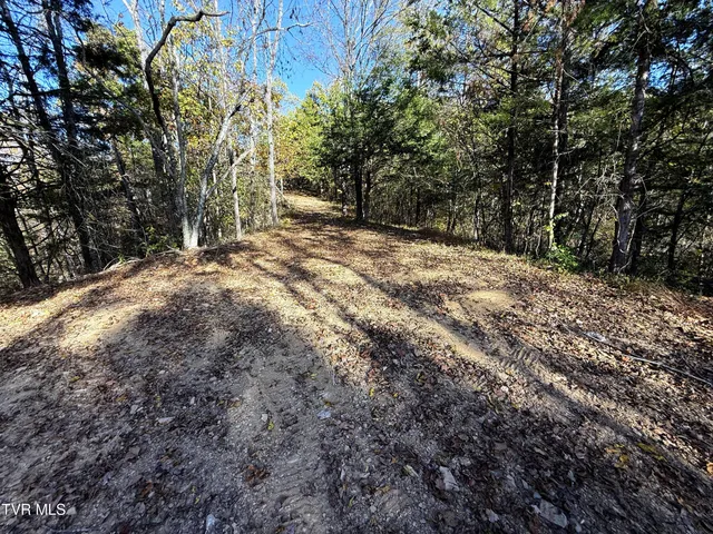 $88,500 | 4 Topaz Way, Unit 4, Parrottsville, TN 37843