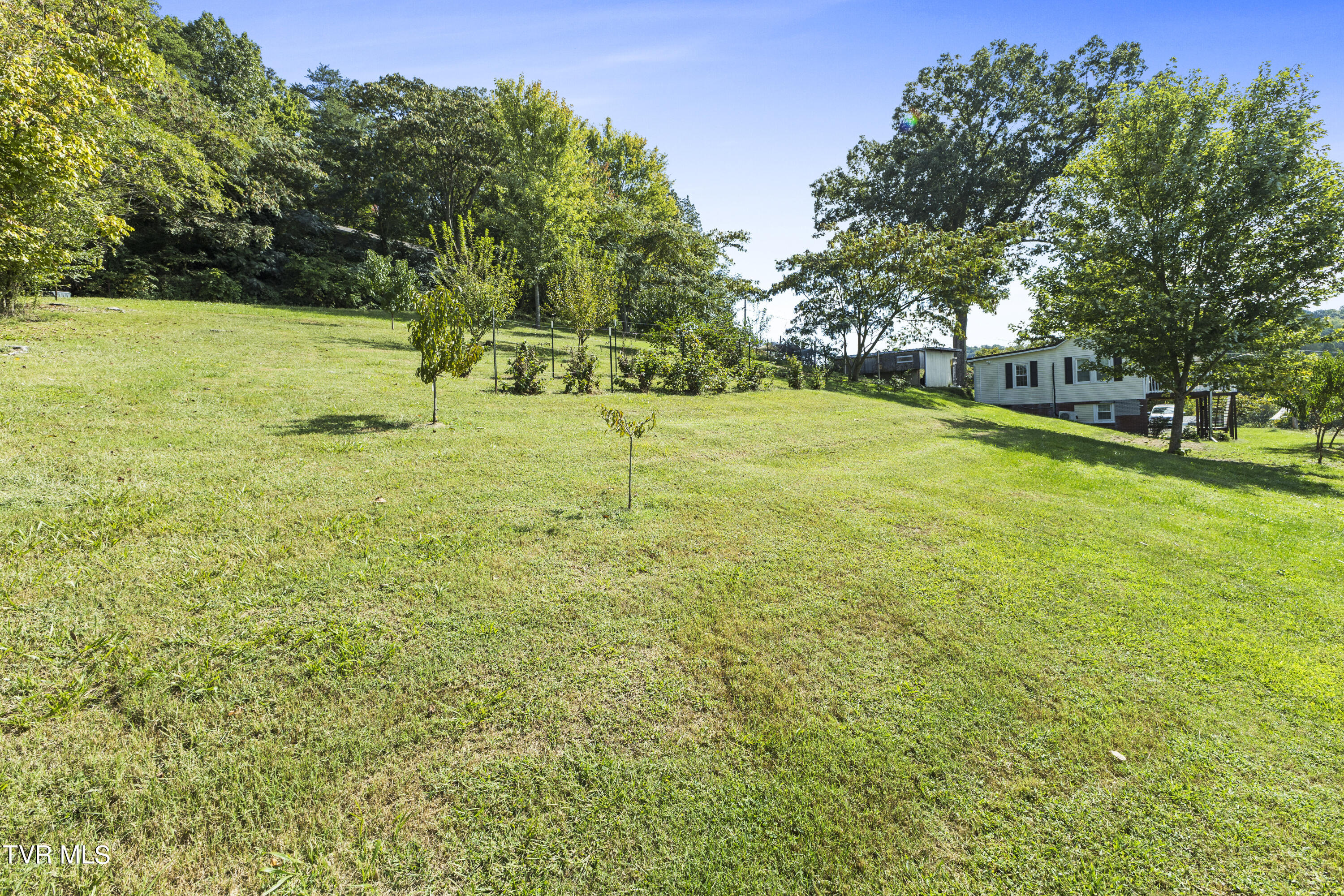 114 Judge Baines Road Fall Branch, TN 37656 - Photo 28 of 45 128A7321