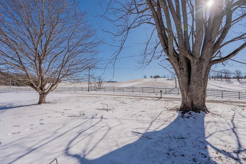 1108 Dutton Hollow Road Rural Retreat, VA 24368 - Photo 38 of 87 Gallery Image 38