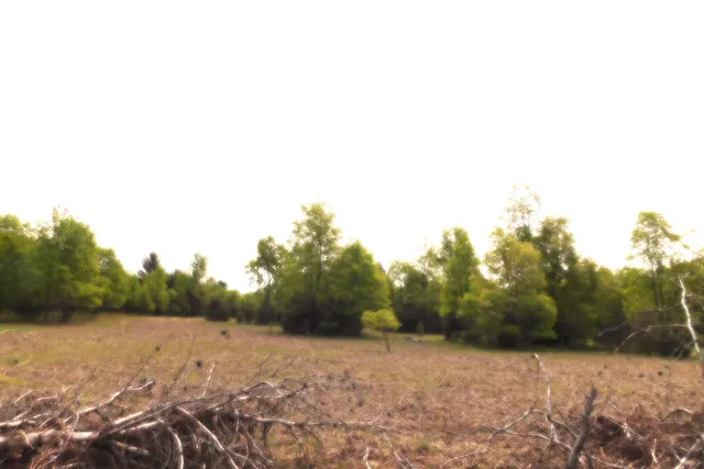 $107,000 | 15880 Potter Road, Unit B26 82, Kaleva, MI 49645