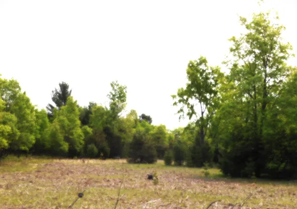 $107,000 | 15880 Potter Road, Unit B26 82, Kaleva, MI 49645