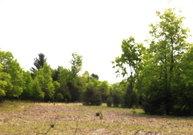 $107,000 | 15880 Potter Road, Unit B26 82, Kaleva, MI 49645