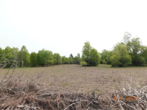 $107,000 | 15880 Potter Road, Unit B26 82, Kaleva, MI 49645