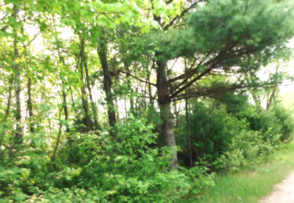 $107,000 | 15880 Potter Road, Unit B26 82, Kaleva, MI 49645