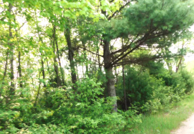 $107,000 | 15880 Potter Road, Unit B26 82, Kaleva, MI 49645