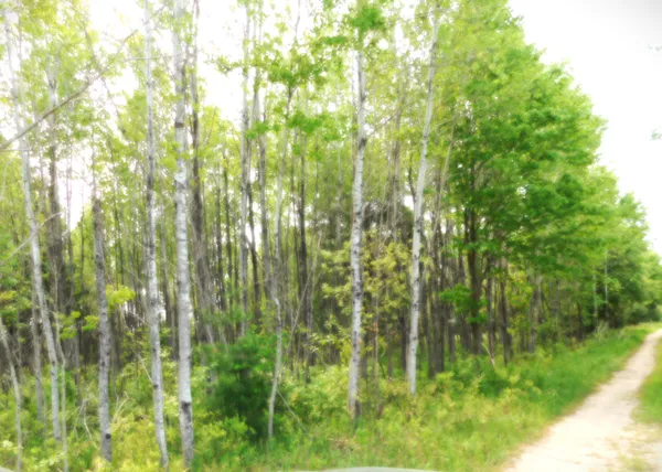 $107,000 | 15880 Potter Road, Unit B26 82, Kaleva, MI 49645