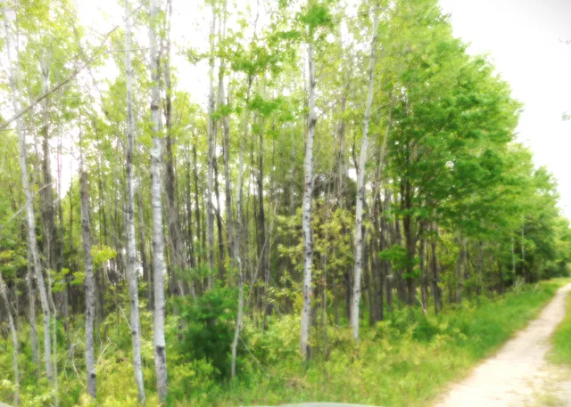 $107,000 | 15880 Potter Road, Unit B26 82, Kaleva, MI 49645