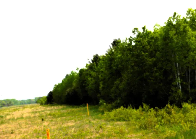 $107,000 | 15880 Potter Road, Unit B26 82, Kaleva, MI 49645