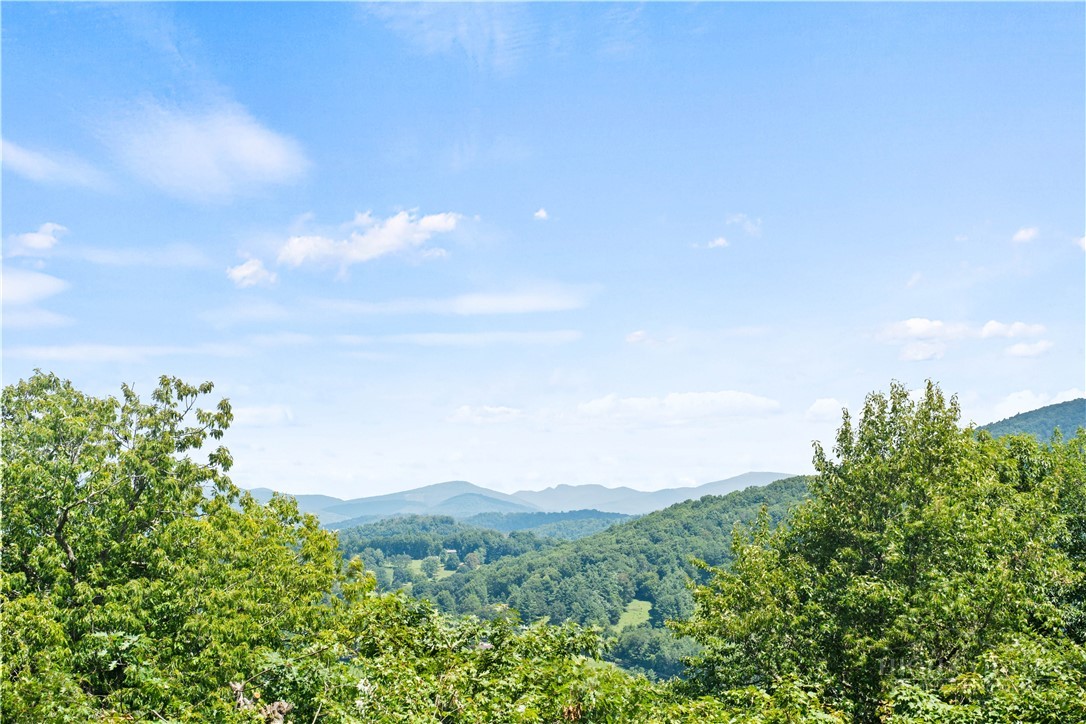 159 Oak Leaf Trail Boone, NC 28607 - Photo 3 of 41 Gallery Image 3