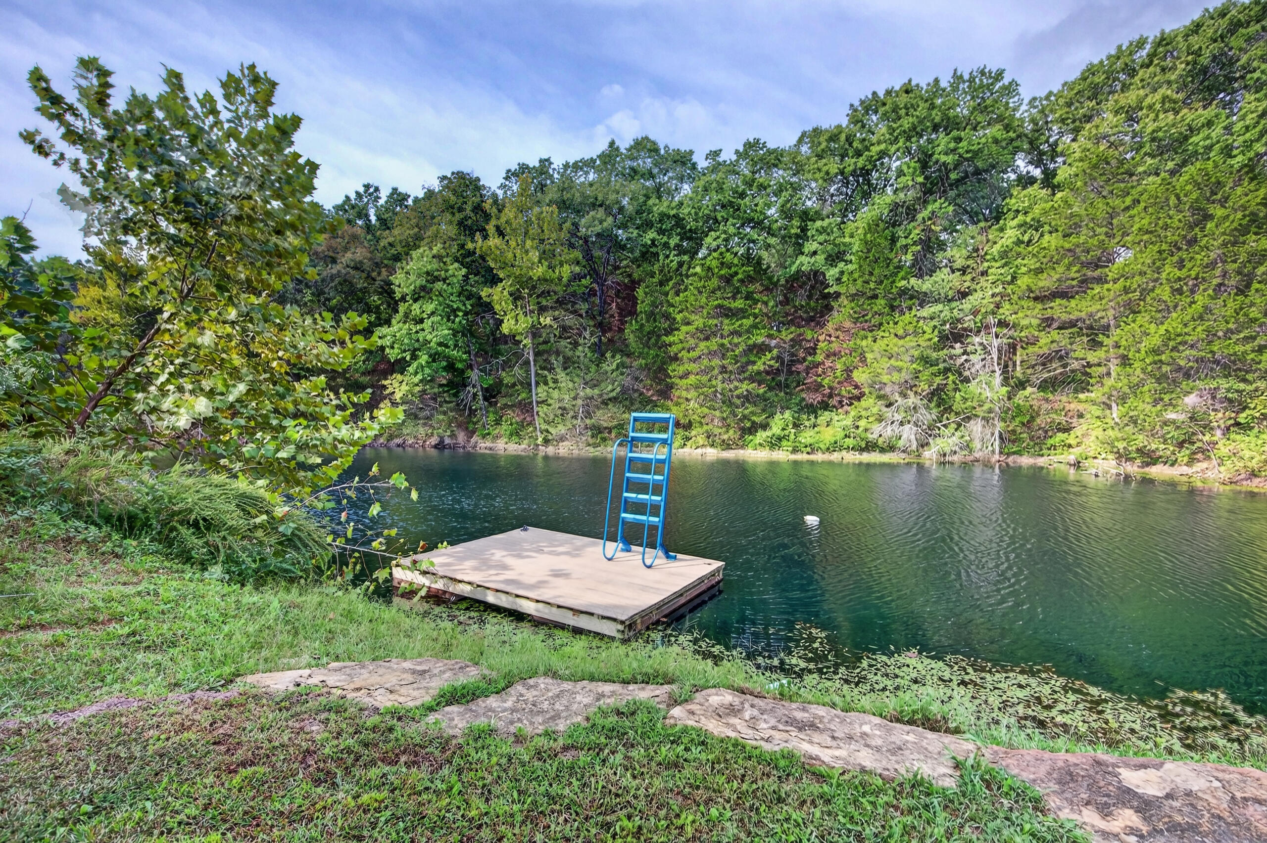 973 Southeast Pvt 87 Road Deepwater, MO 64740 - Photo 75 of 120 IMG_6791