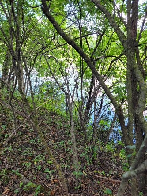 Lt9-13 Rd L Oconomowoc, WI 53066 - Photo 22 of 29 20230711193736730641000000-o