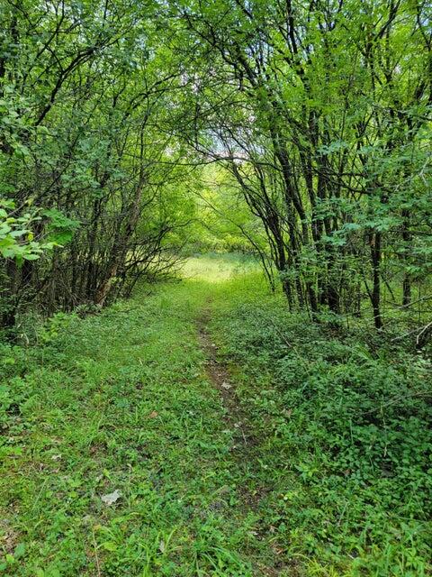 Lt9-13 Rd L Oconomowoc, WI 53066 - Photo 25 of 29 20230711193835242730000000-o