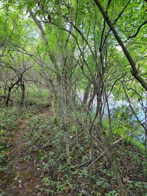 Lt9-13 Rd L Oconomowoc, WI 53066 - Photo 29 of 29 20230711193859109911000000-o