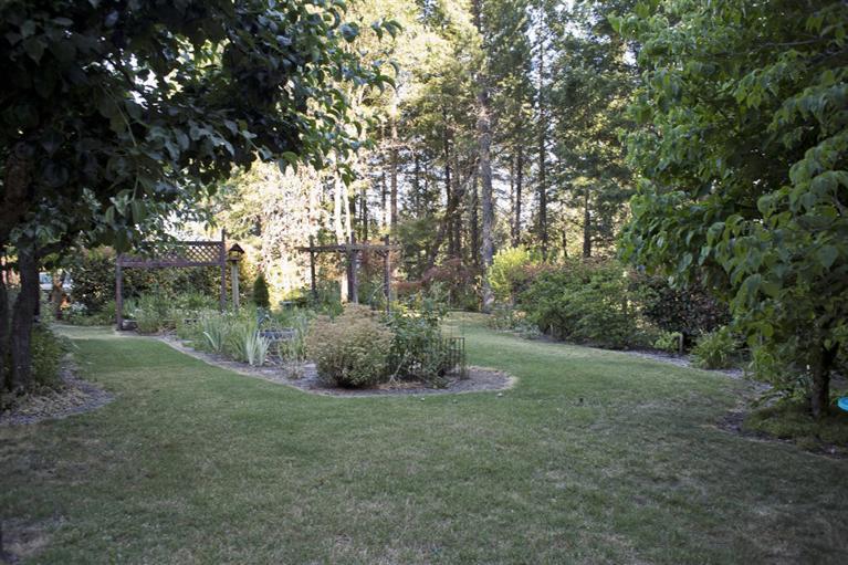 180 Buck Canyon Road Cave Junction, OR 97523 - Photo 16 of 35 Additional Photo