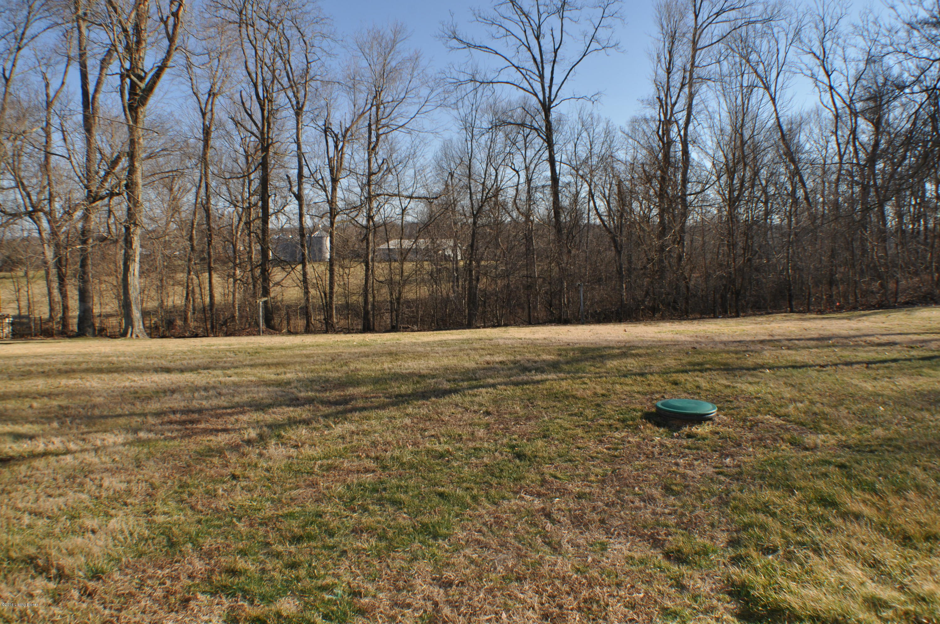 161 Russell Road Vine Grove, KY 40175 - Photo 36 of 38 Back Yard View