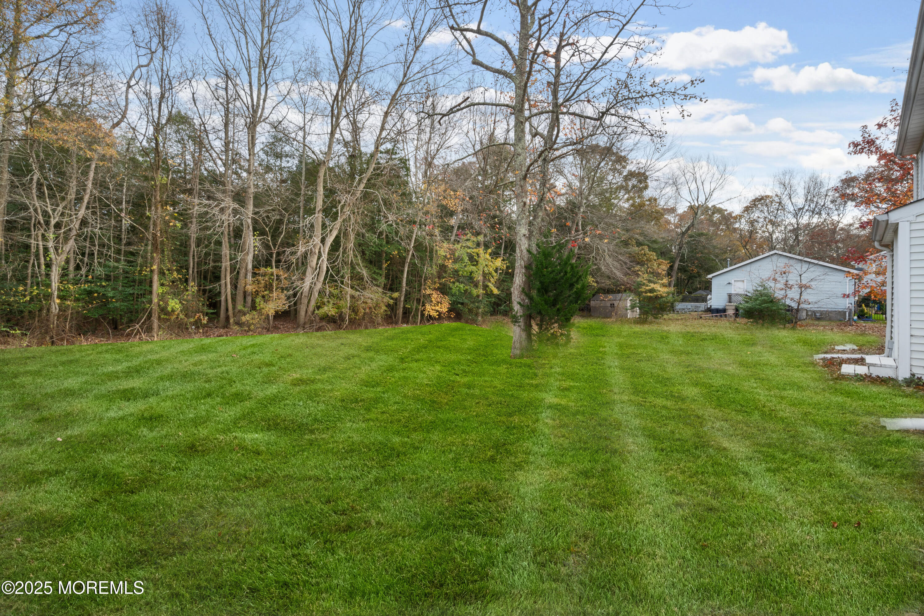 137 Red Bank Avenue Bayville, NJ 08721 - Photo 10 of 24 a view of a park with large trees