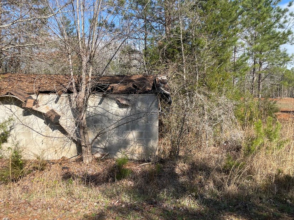 1978 Old Douglas Mill Road Abbeville, SC 29620 - Photo 11 of 24