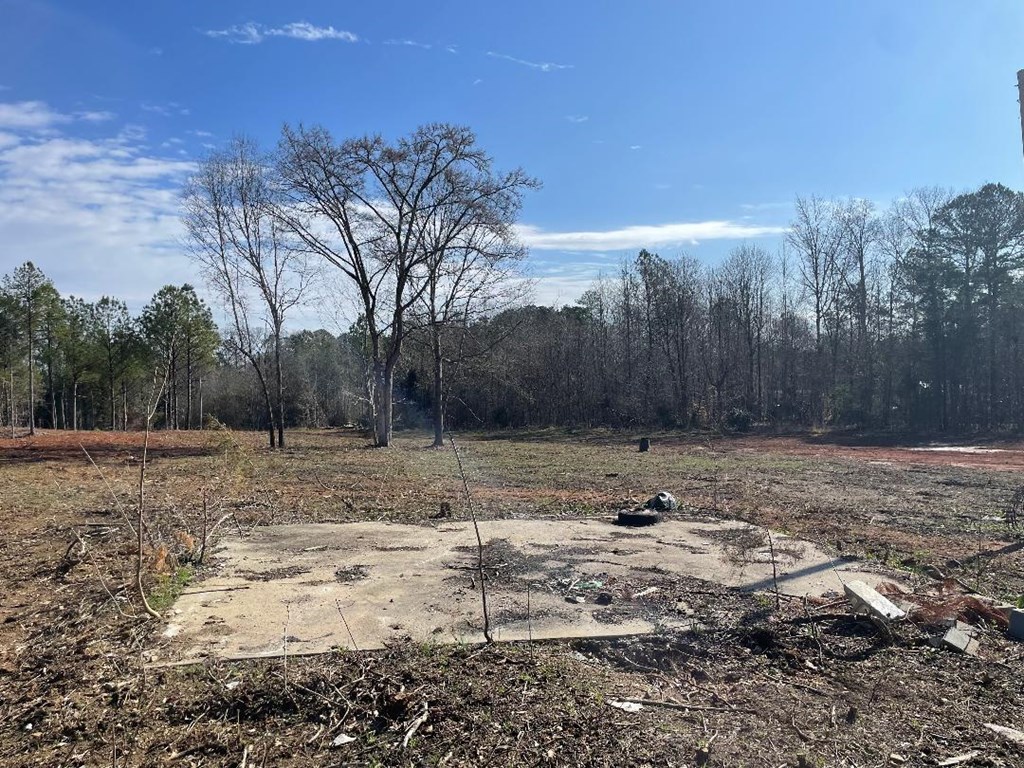 1978 Old Douglas Mill Road Abbeville, SC 29620 - Photo 12 of 24