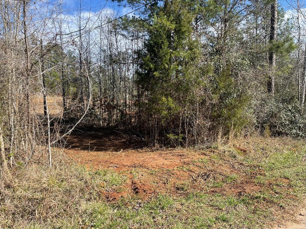 1978 Old Douglas Mill Road Abbeville, SC 29620 - Photo 14 of 24
