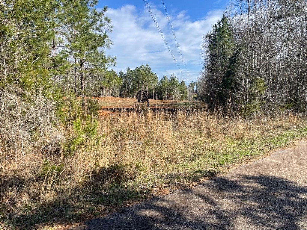 1978 Old Douglas Mill Road Abbeville, SC 29620 - Photo 15 of 24