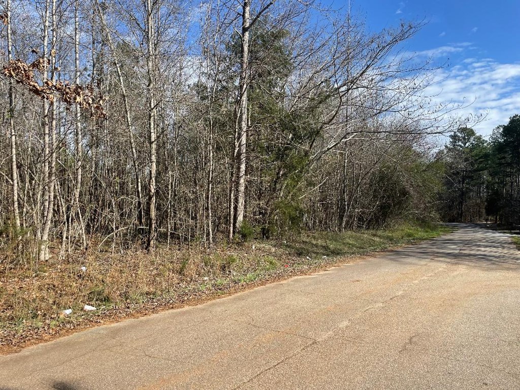 1978 Old Douglas Mill Road Abbeville, SC 29620 - Photo 16 of 24