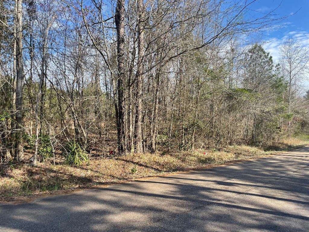 1978 Old Douglas Mill Road Abbeville, SC 29620 - Photo 17 of 24