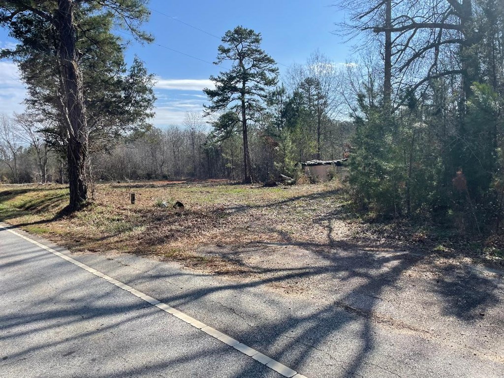 1978 Old Douglas Mill Road Abbeville, SC 29620 - Photo 18 of 24