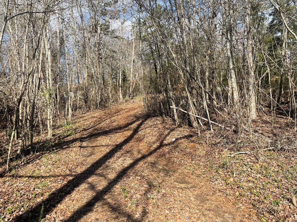 1978 Old Douglas Mill Road Abbeville, SC 29620 - Photo 19 of 24