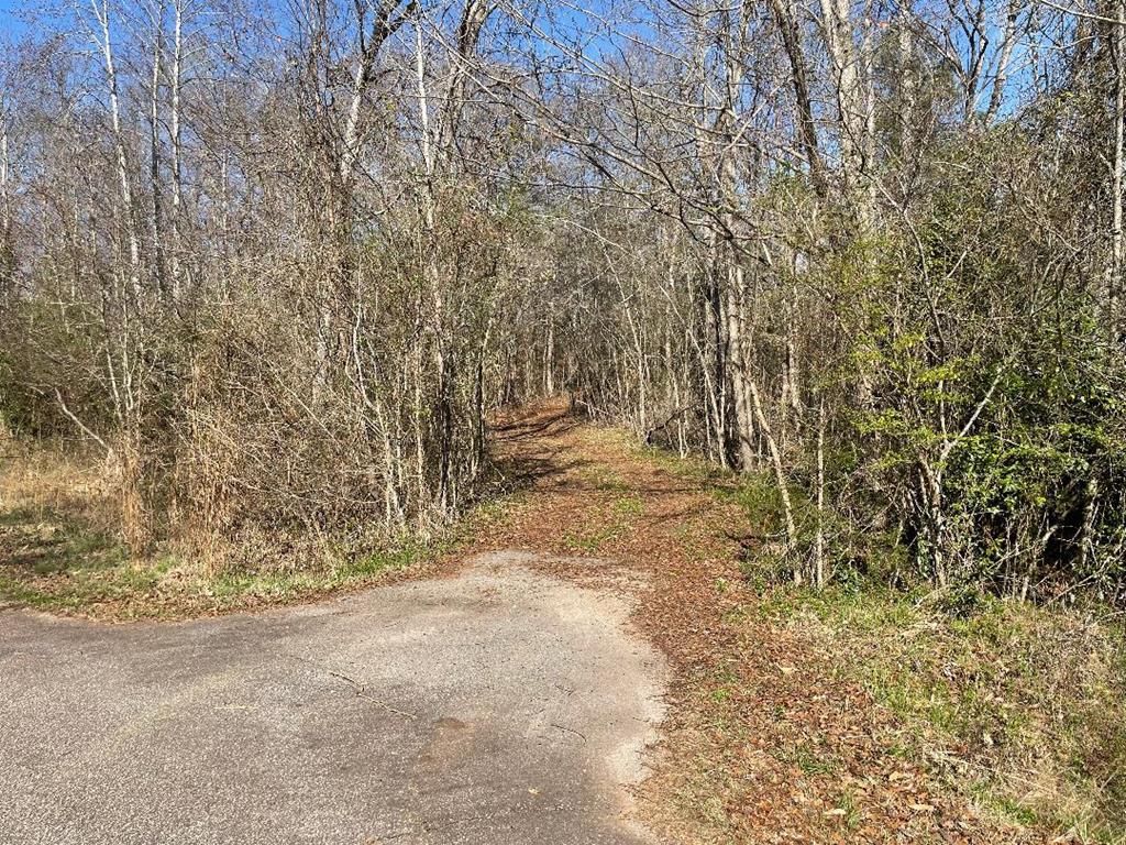 1978 Old Douglas Mill Road Abbeville, SC 29620 - Photo 2 of 24