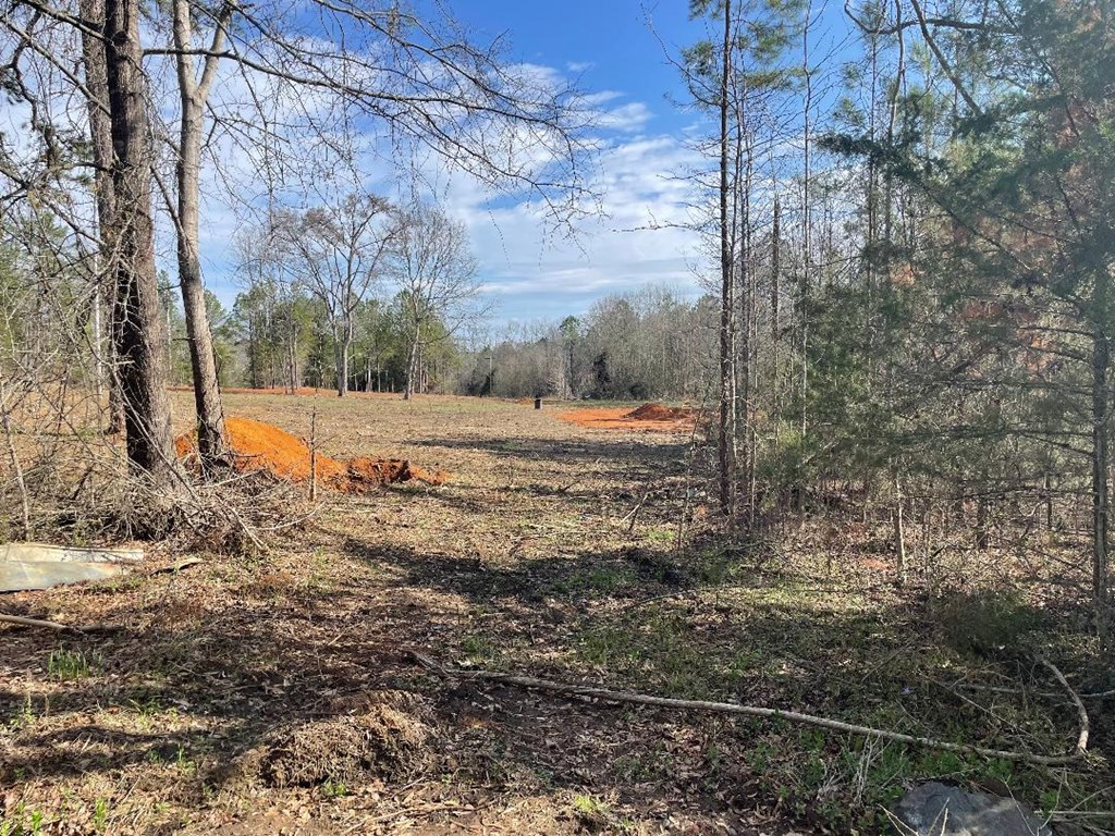 1978 Old Douglas Mill Road Abbeville, SC 29620 - Photo 21 of 24
