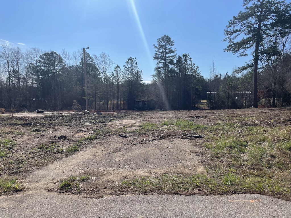 1978 Old Douglas Mill Road Abbeville, SC 29620 - Photo 23 of 24
