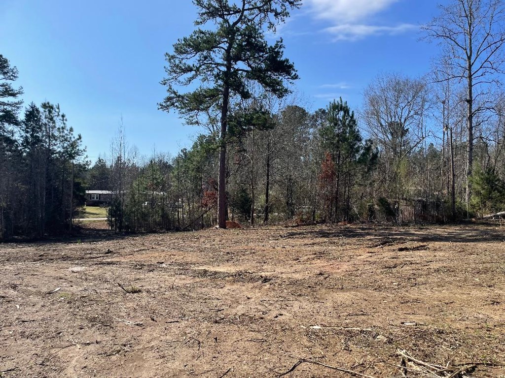 1978 Old Douglas Mill Road Abbeville, SC 29620 - Photo 24 of 24