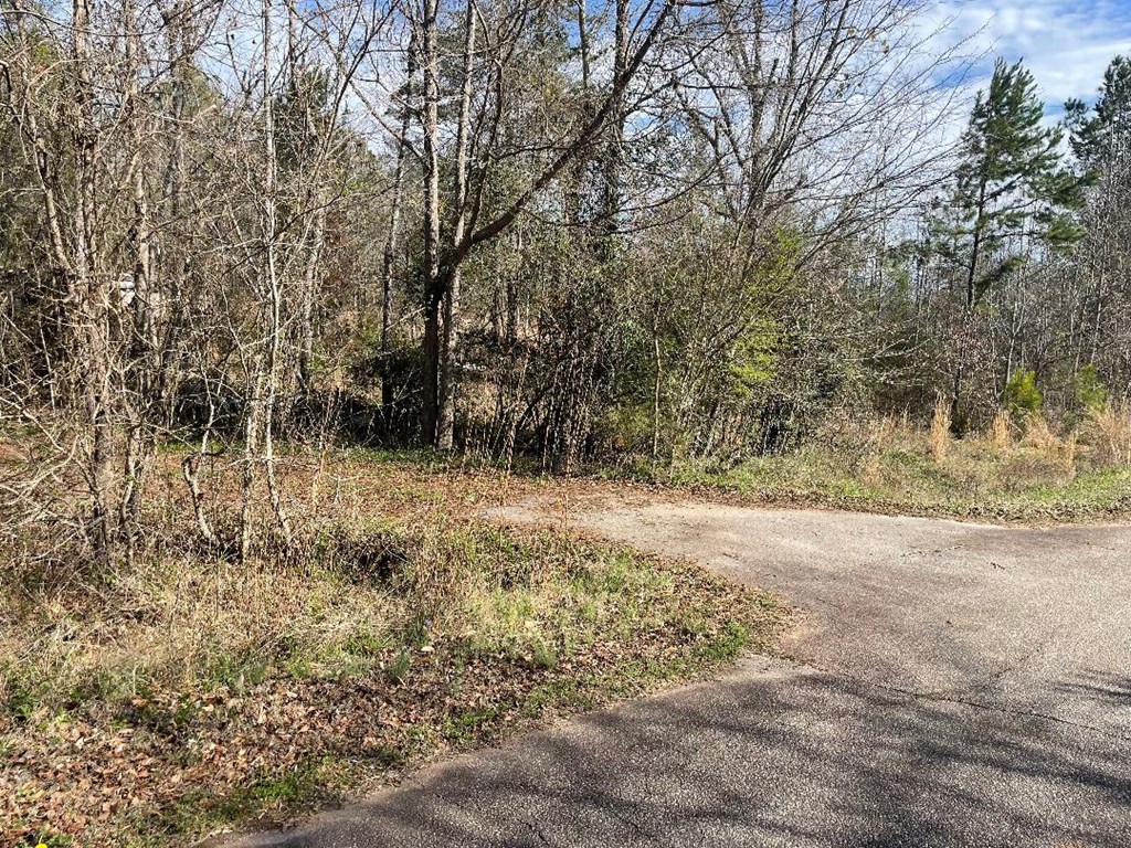 1978 Old Douglas Mill Road Abbeville, SC 29620 - Photo 3 of 24