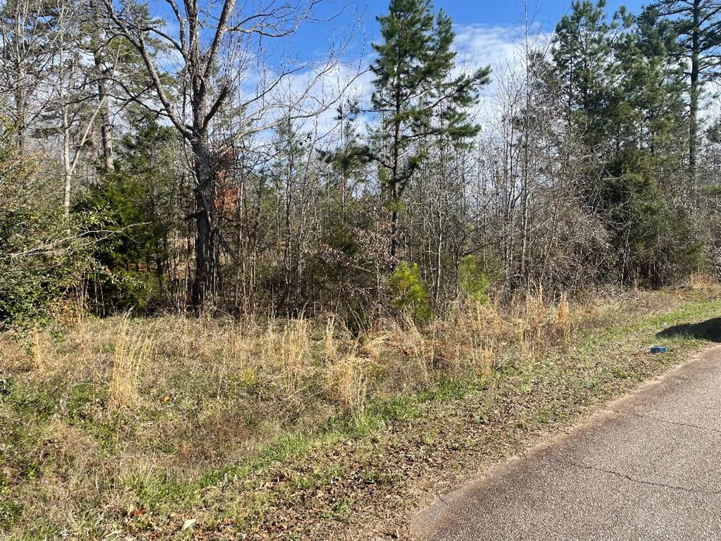 1978 Old Douglas Mill Road Abbeville, SC 29620 - Photo 4 of 24