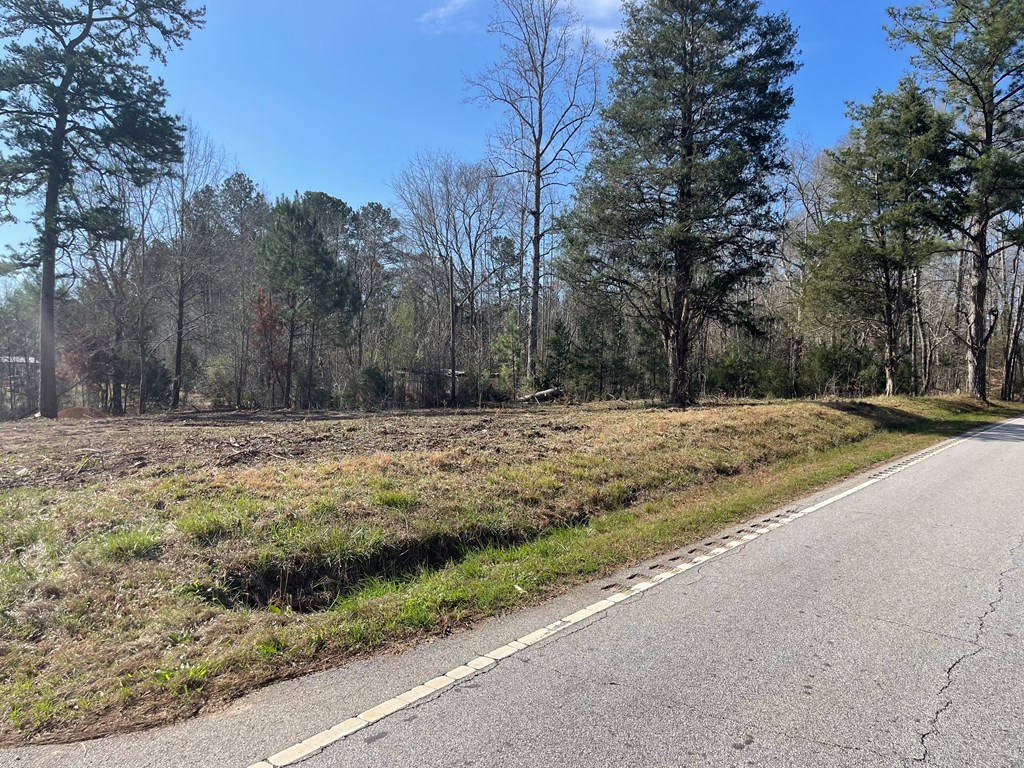 1978 Old Douglas Mill Road Abbeville, SC 29620 - Photo 5 of 24