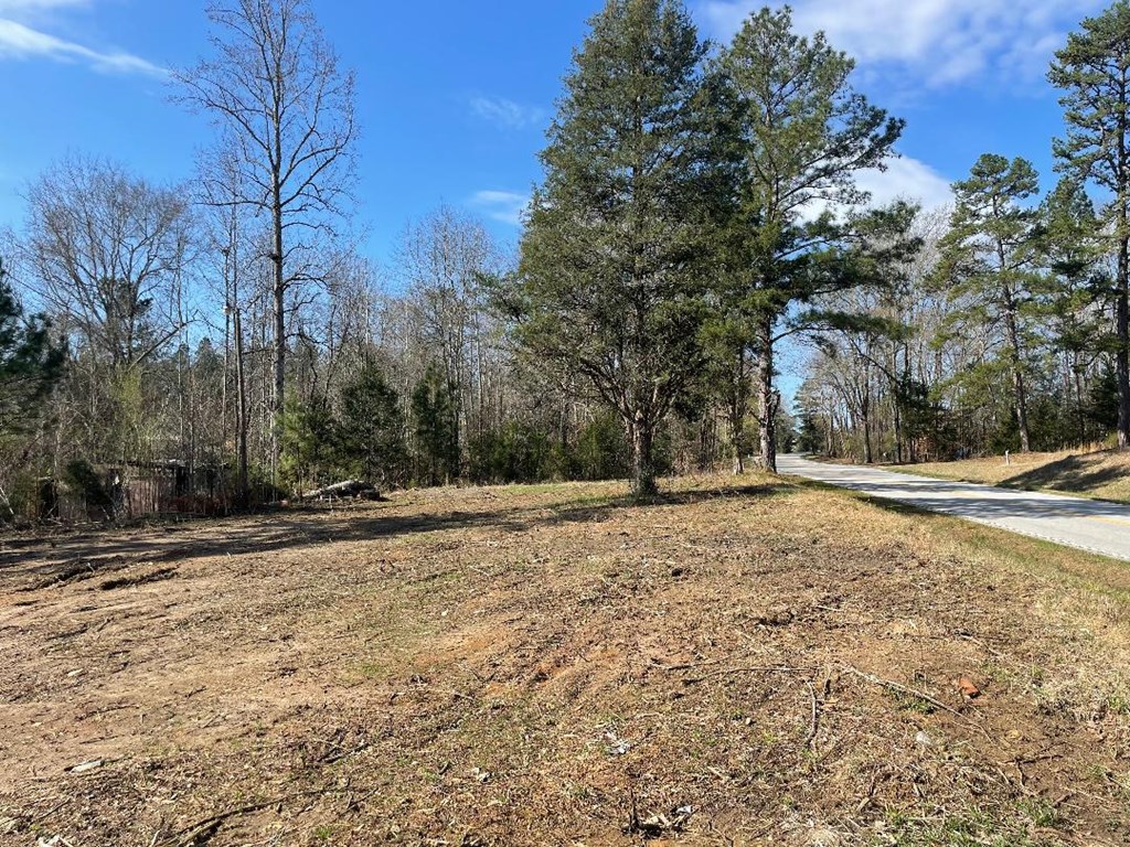 1978 Old Douglas Mill Road Abbeville, SC 29620 - Photo 6 of 24