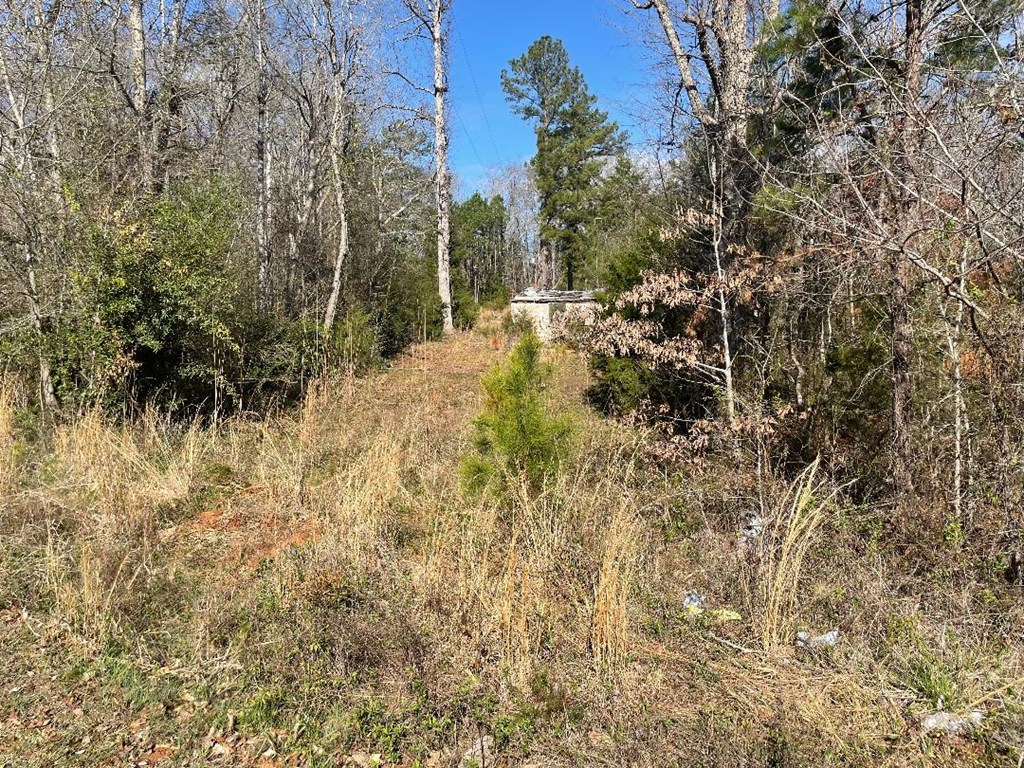 1978 Old Douglas Mill Road Abbeville, SC 29620 - Photo 7 of 24