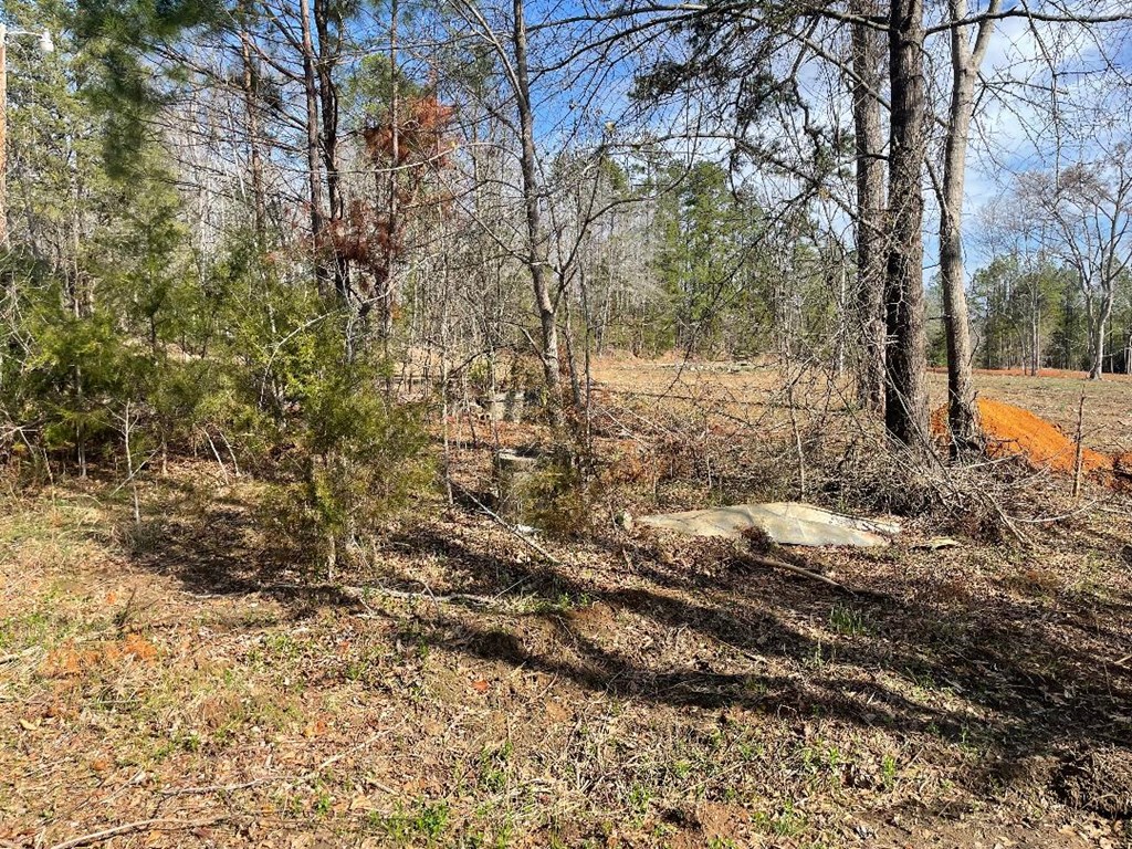 1978 Old Douglas Mill Road Abbeville, SC 29620 - Photo 9 of 24