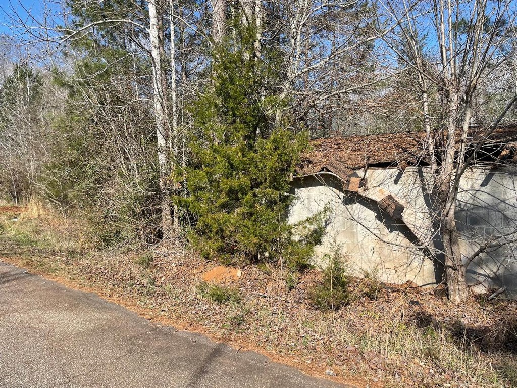 1978 Old Douglas Mill Road Abbeville, SC 29620 - Photo 10 of 24