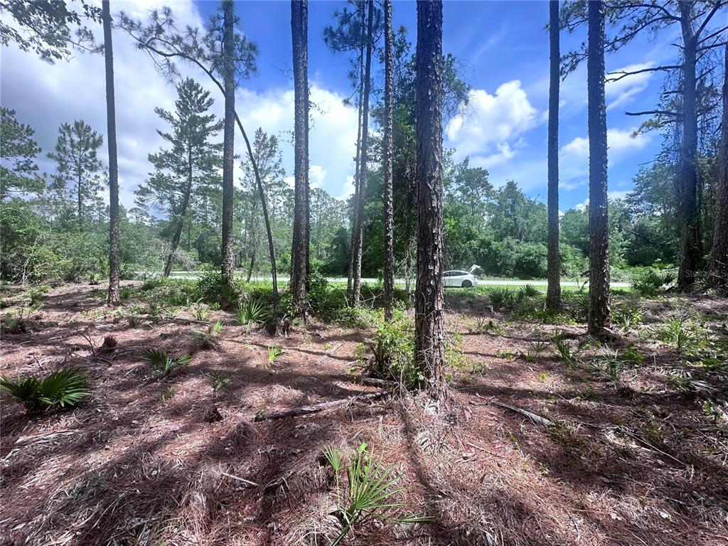 107 Georgetown Pt Road Georgetown, FL 32139 - Photo 4 of 11