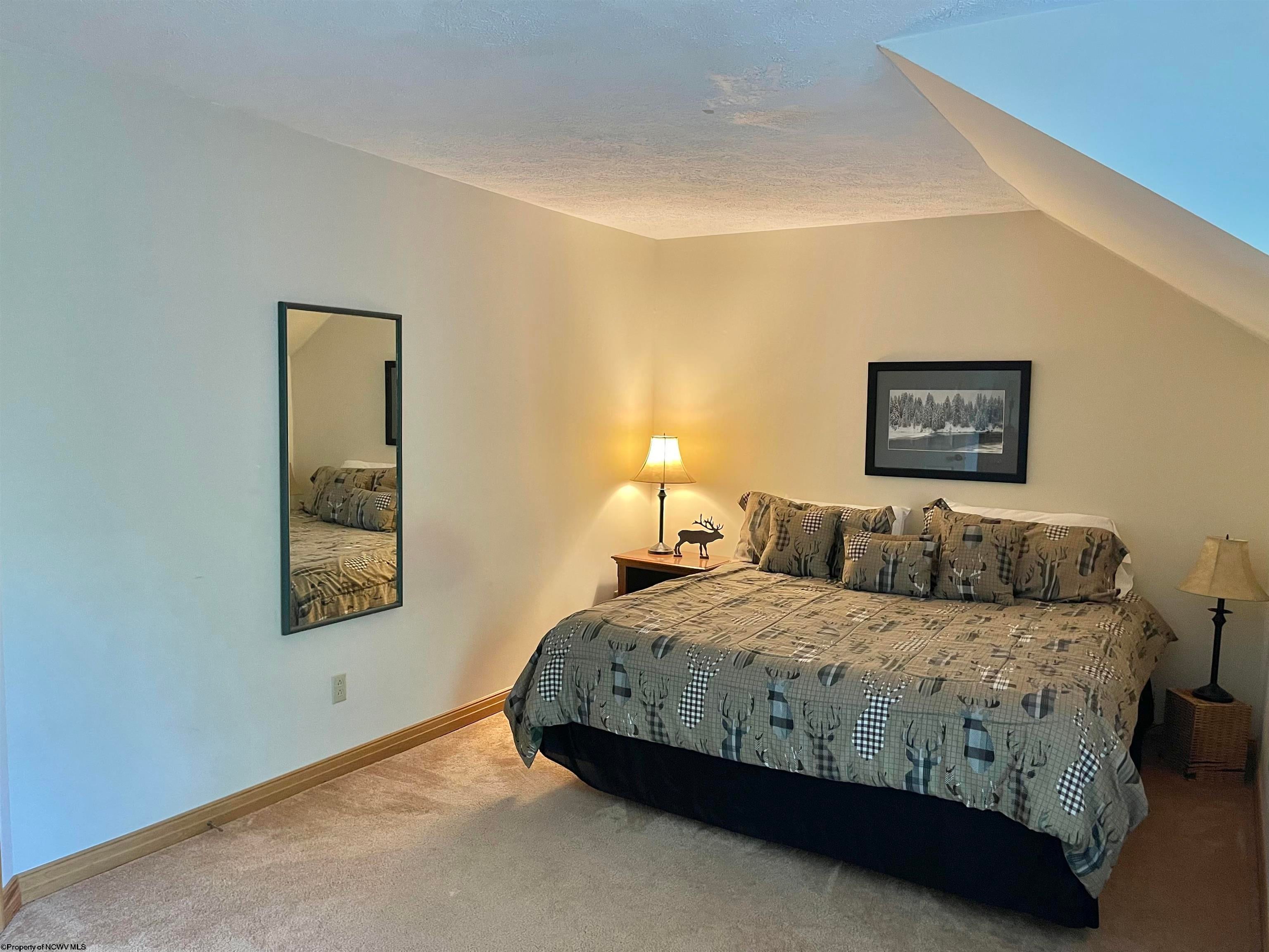 C2 Cedar, Unit C2 Davis, WV 26260 - Photo 12 of 23 Gallery Image 12