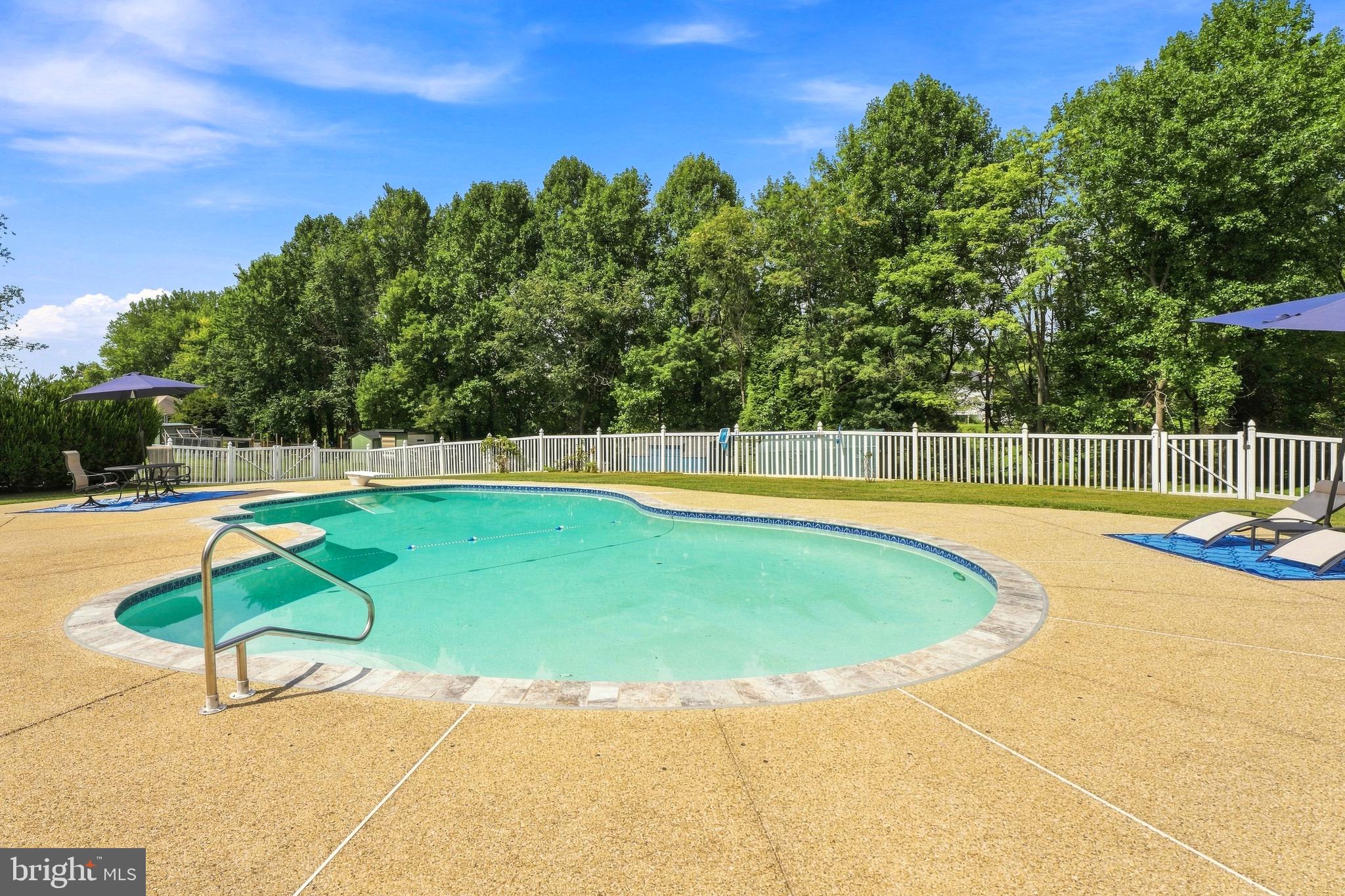 11911 Manor Road Glen Arm, MD 21057 - Photo 61 of 71 In-ground heated Gunite Pool