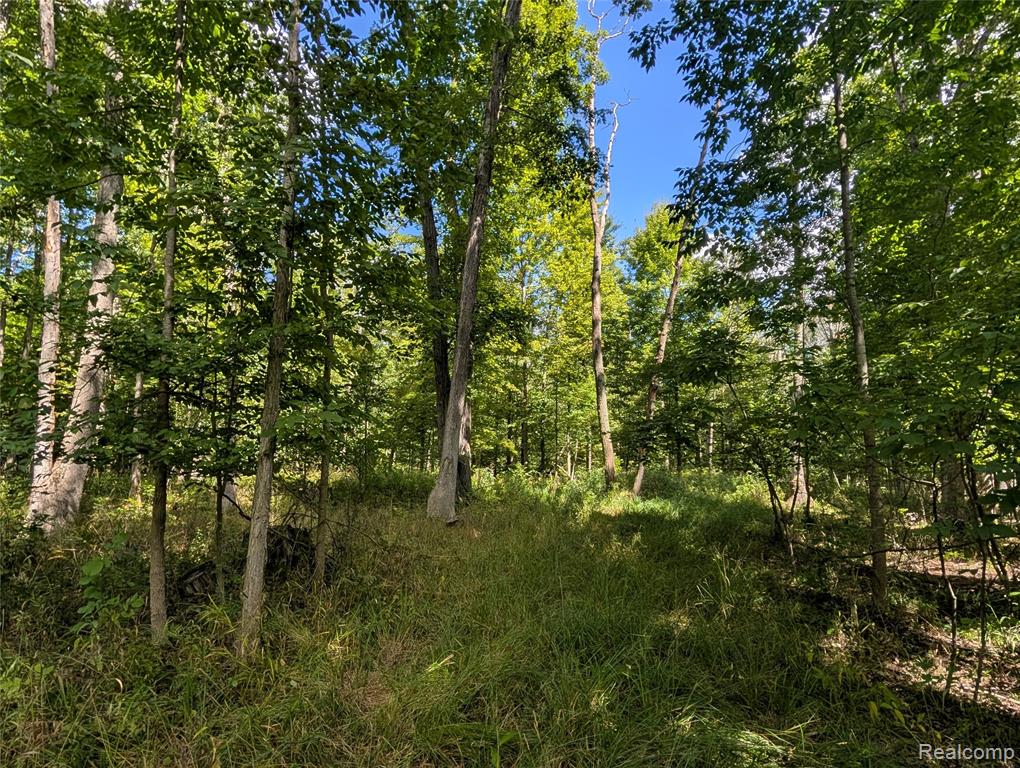 0 South Maywood Road Ashley, MI 48806 - Photo 22 of 32
